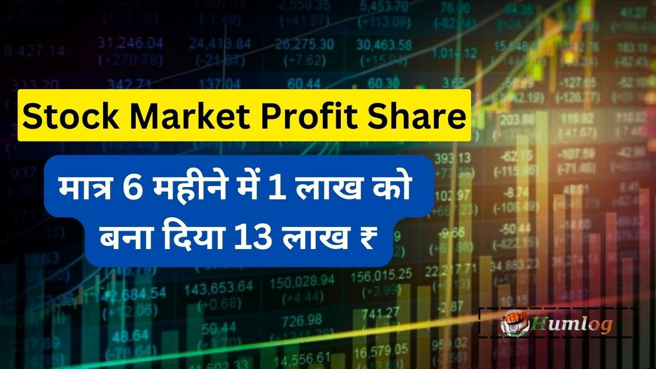 Stock Market Profit Share